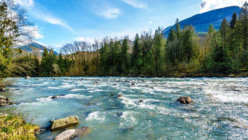 Chilliwack Alpine Lawyer