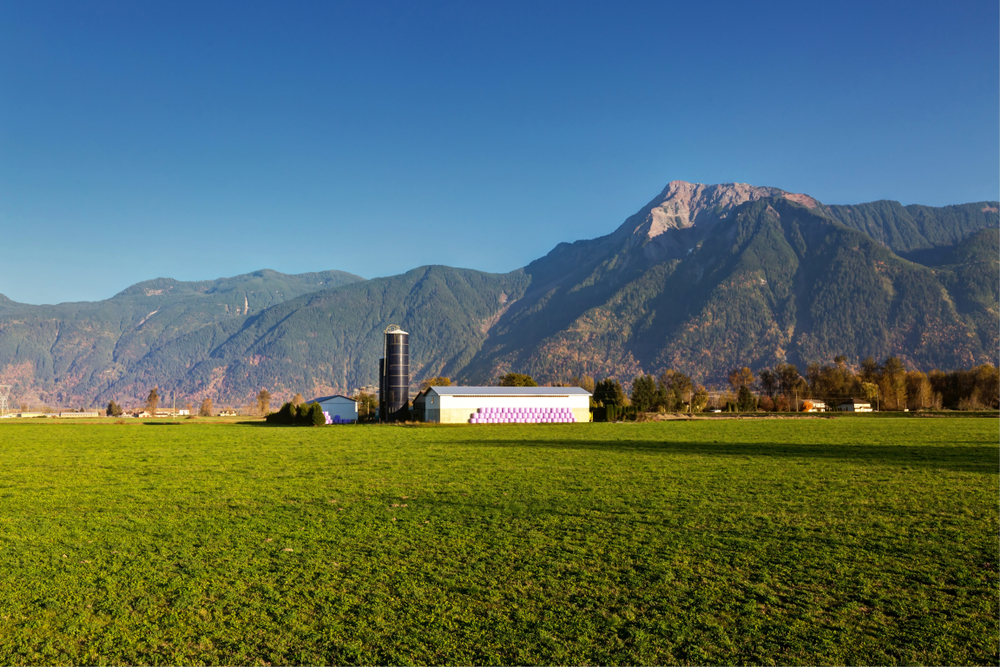 Alpine legal providing notary public services in Agassiz BC