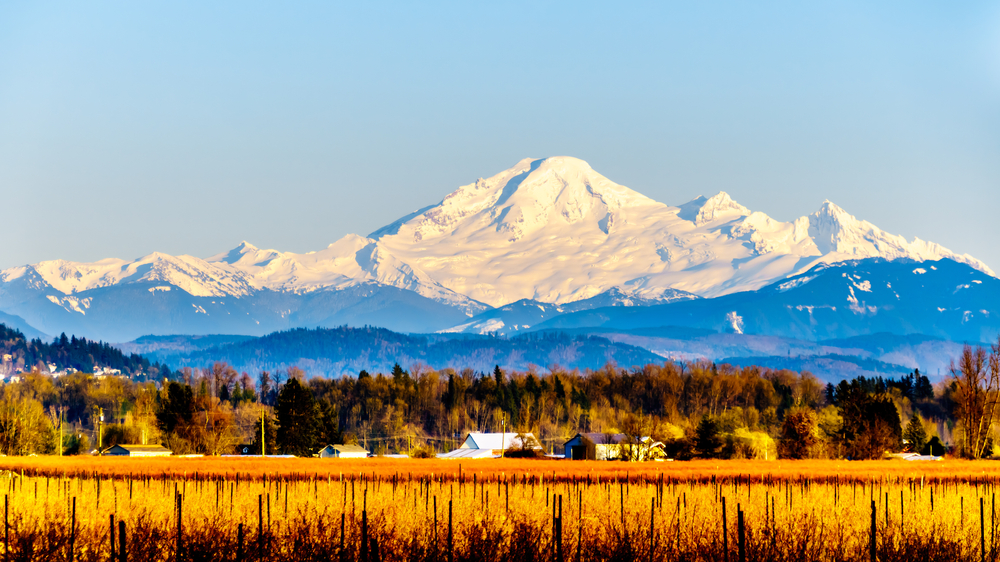 Alpine Legal Services providing Notary Public throughout the Fraser Valley BC