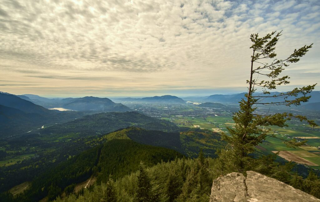 Aerial view of the Fraser Valley in British Columbia with mountains in the distance, representing the regional real estate market